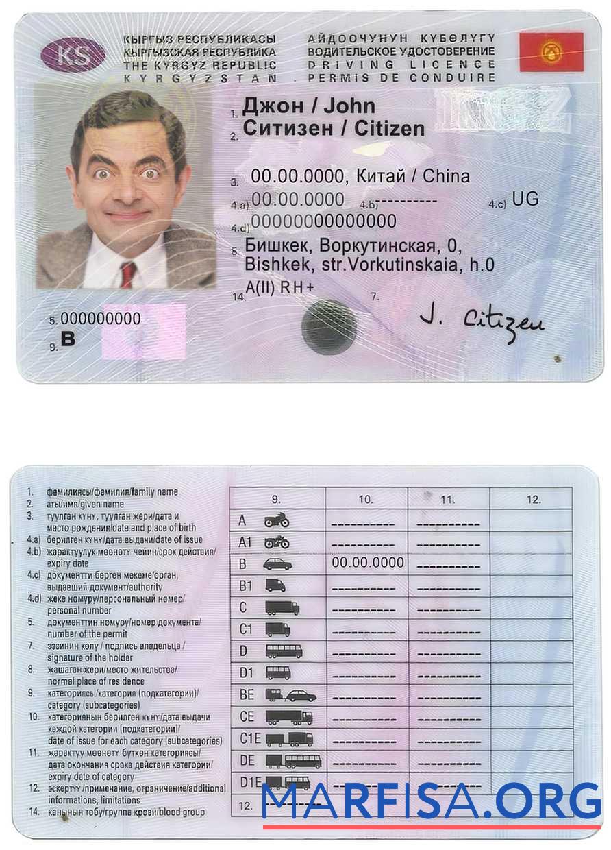 Blank Kyrgyzstan driving license example